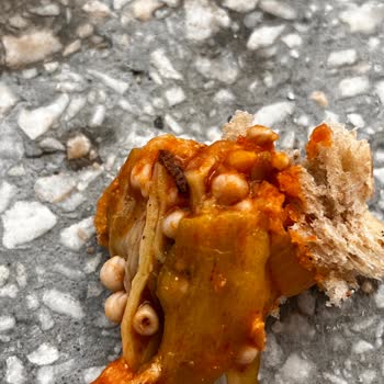 Aldığım Bamyanın İçinden Kurt Çıktı, Denetimsizlikten Şikayetçiyim