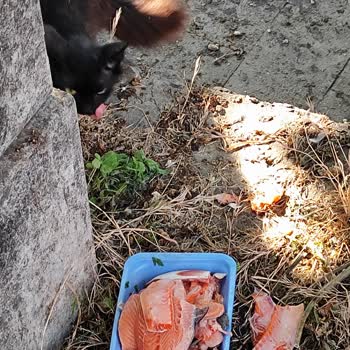 CarrefourSA'dan Aldığım Somunun Rengi Soluktu Tüketmeye Korktum