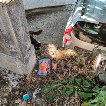 CarrefourSA'dan Aldığım Somunun Rengi Soluktu Tüketmeye Korktum