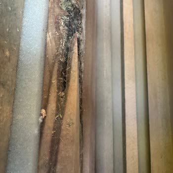 Engince Mobilyadan Alınan Koltuk Takımı Bekleneni Karşılamadı