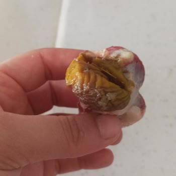 BİM Tazem Piliç İçinden Bir Şey Çıkması