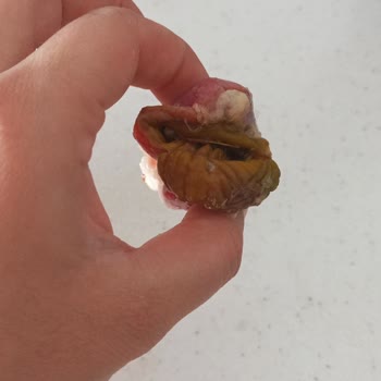 BİM Tazem Piliç İçinden Bir Şey Çıkması