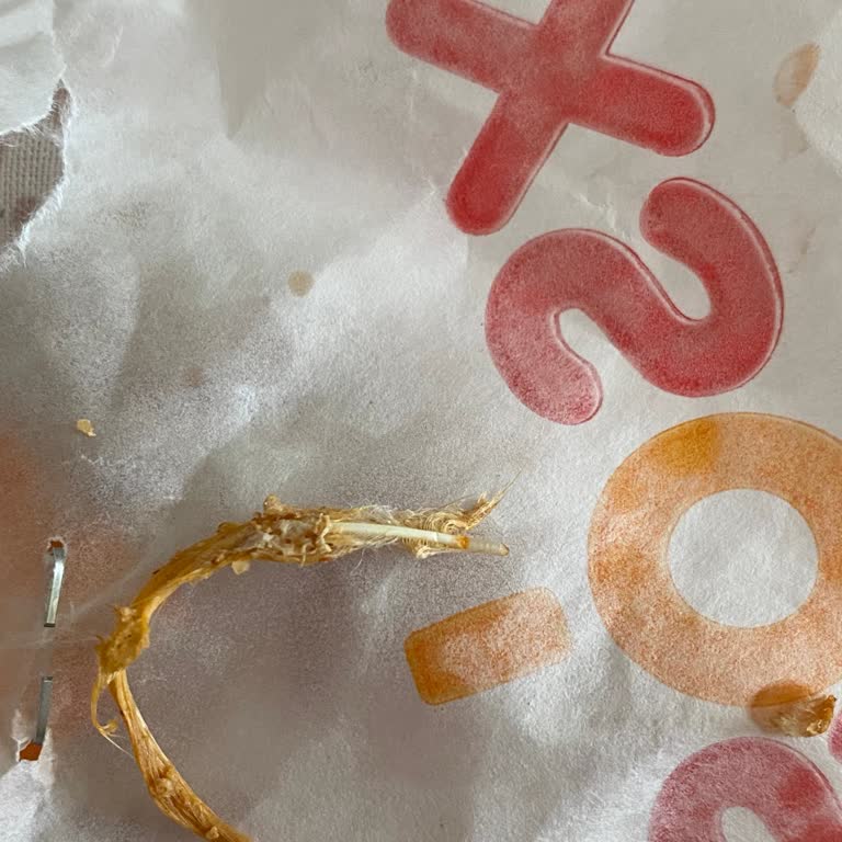 Siparişimden Tüylü Kemik Çıktı, Paramın İadesini İstiyorum