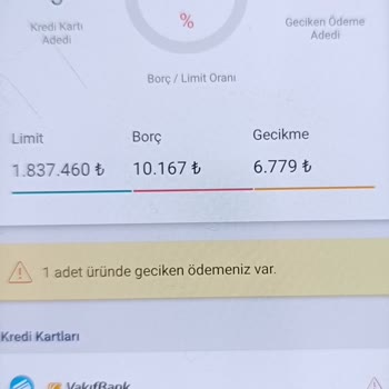 Bankacılık Sistemindeki Erişim Sorunu Kredi Notumu Olumsuz Etkiledi