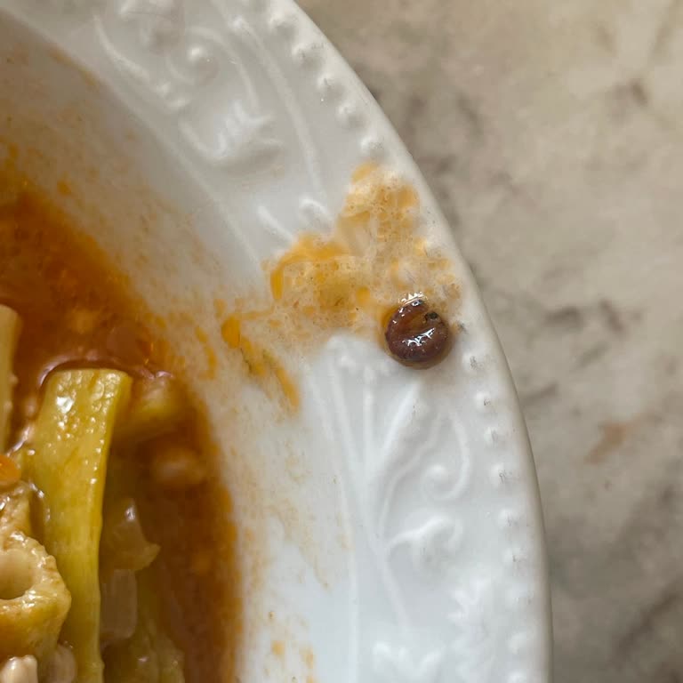 A101'den Alınan Ürünlerde Sürekli Karşılaşılan Kalite Sorunları