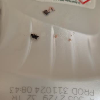 Aldığım Kıymanın İçinden Böcek Çıkması Nedeniyle Yaşadığım Hayal Kırıklığı