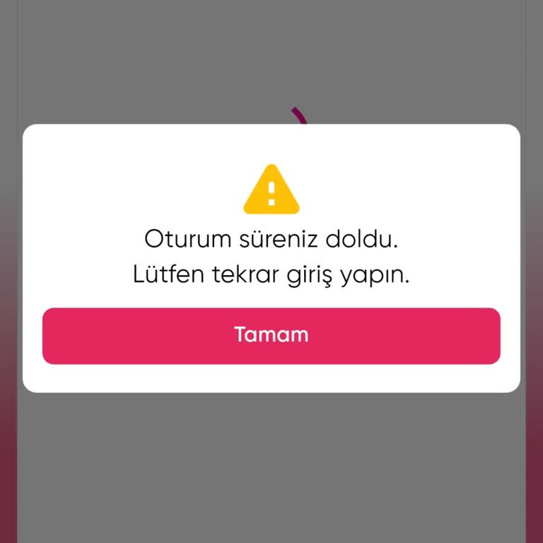 Hesabıma Giriş Yapamıyorum, Sorunum Çözülmüyor