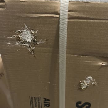 Horoz Lojistik İle Teslimat Sorunu Ve Klima Kutusunda Hijyen Problemi