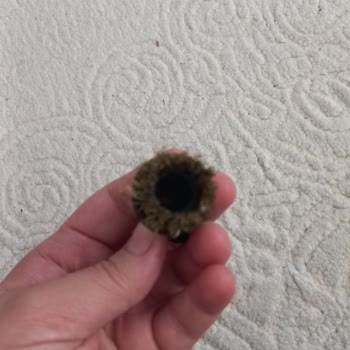 İlk Kullanımda Su Sızdıran Ve Başlığı Eriyen Ürün Mağduriyeti