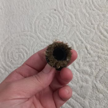 İlk Kullanımda Su Sızdıran Ve Başlığı Eriyen Ürün Mağduriyeti