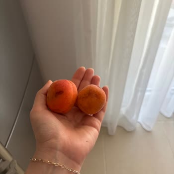 Bozulmuş Ürünler Ve Hasarlı Ambalaj Sorunu, Müşteri Temsilcisine Ulaşılamıyor