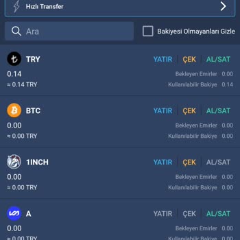 Hesabımdaki 100 Bin TL Değerindeki Coinlerim Kayboldu, Ulaşamıyorum