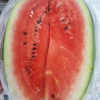 Şok Marketten Alınan Karpuz Bozuk Çıktı İade Talebim Var