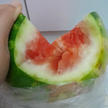 Şok Marketten Alınan Karpuz Bozuk Çıktı İade Talebim Var