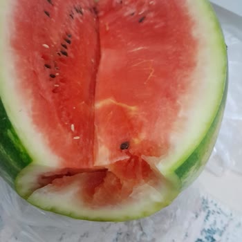 Şok Marketten Alınan Karpuz Bozuk Çıktı İade Talebim Var