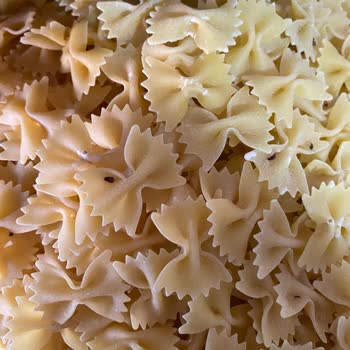 Barilla Kutu Makarna İçinde Böceklenme Sorunu