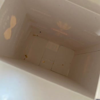 Barilla Kutu Makarna İçinde Böceklenme Sorunu