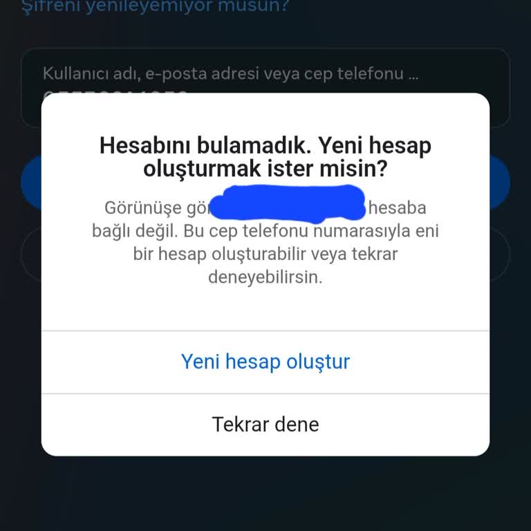 Instagram Dondurulan Hesabımı Geri Alamıyorum: Tüm Yöntemler Sonuçsuz