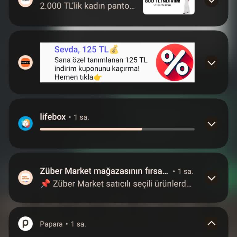 Papara Kartımdan Yetkisiz Harcama Girişimleri Nedeniyle Hesabımı Kullanamıyorum