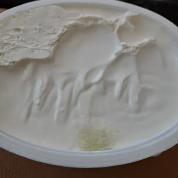 Satın Alınan Tam Yağlı Peynirde Küf Sorunu ve Geri Dönüş Alınamaması