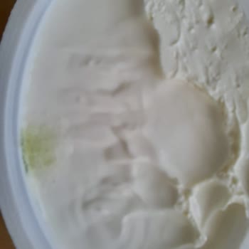 Satın Alınan Tam Yağlı Peynirde Küf Sorunu ve Geri Dönüş Alınamaması