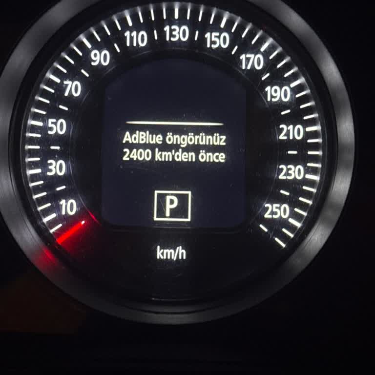 AdBlue Uyarısı Dolum Sonrası Da Ekranda Kalıyor