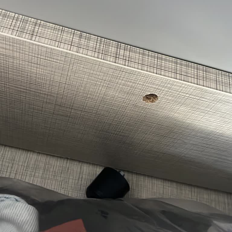 Yatak Odası Takımında Kısa Sürede Yaşanan Sorunlar