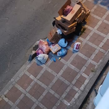 Çöp Sorununa Acil Çözüm Bekliyoruz
