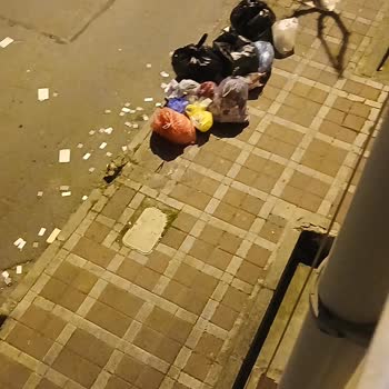 Çöp Sorununa Acil Çözüm Bekliyoruz