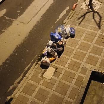 Çöp Sorununa Acil Çözüm Bekliyoruz