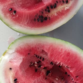 Migros Bozuk Karpuz ve İlgisiz Müşteri Hizmeti Hayal Kırıklığı