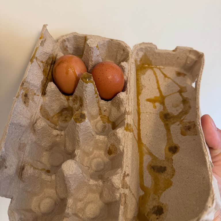 Migros'tan Her Alışverişte Kırık Yumurta Sürpriziyle Karşılaşmak Can Sıkıcı