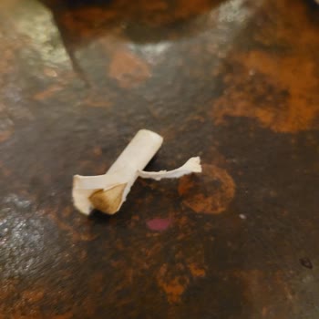 Kim Market'ten Aldığım Kabak Çekirdeğinden Sigara İzmariti Çıktı!