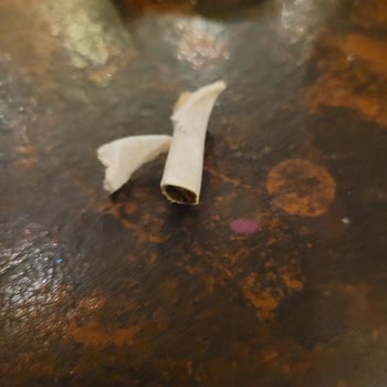 Kim Market'ten Aldığım Kabak Çekirdeğinden Sigara İzmariti Çıktı!