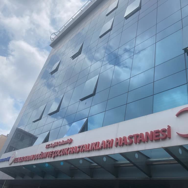 Zor Doğum Sonrası Yaşanan Sağlık Sorunları Ve İlgisizlik
