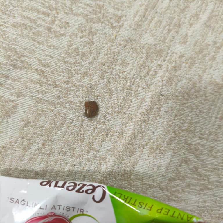 Malatya Pazarı Murat Palancı Ürünün İçinden Taş Gibi Cisim Çıktı