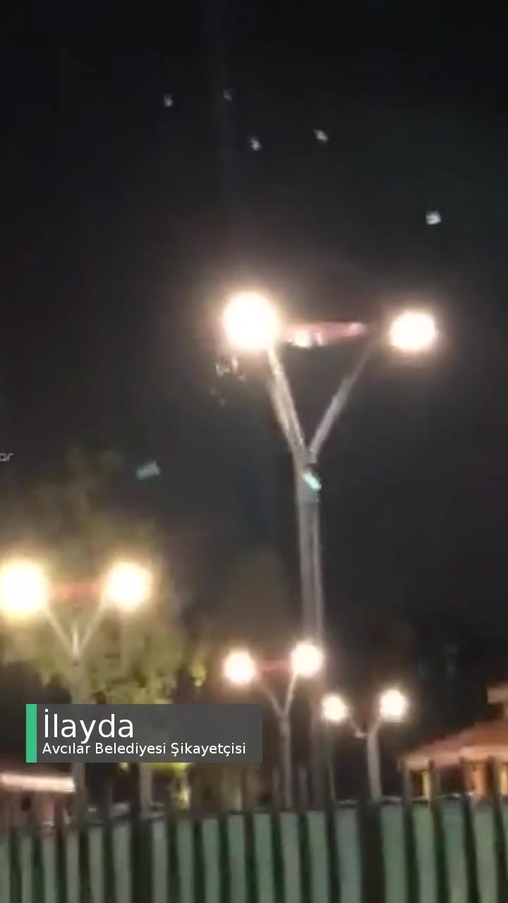 Avcılar Belediyesi Sinekler Ve Böcekler Her Yerimizi Yedi videonun kapak resmi