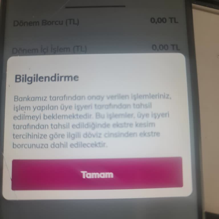 Sistem Hatası Nedeniyle Uçuş Değişikliği Yapılamadı, Para İadesi Gecikiyor