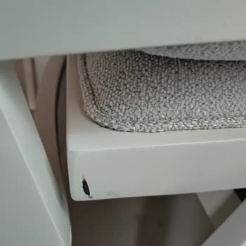 Sipariş Edilen Masa Ve Sandalyelerde Teslimat Ve Kalite Sorunu Yaşadım