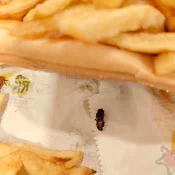 Patso Siparişimde Kızarmış Arı Çıkmasıyla Şok Oldum