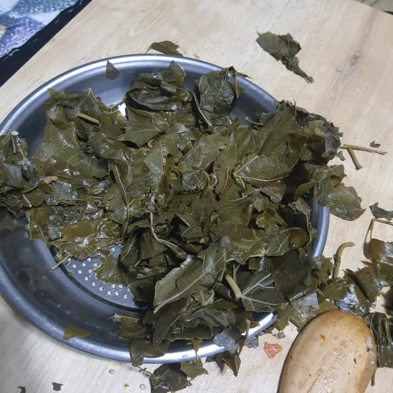 Alatat Salamura Yapraklar Resmen Kağıt Gibi