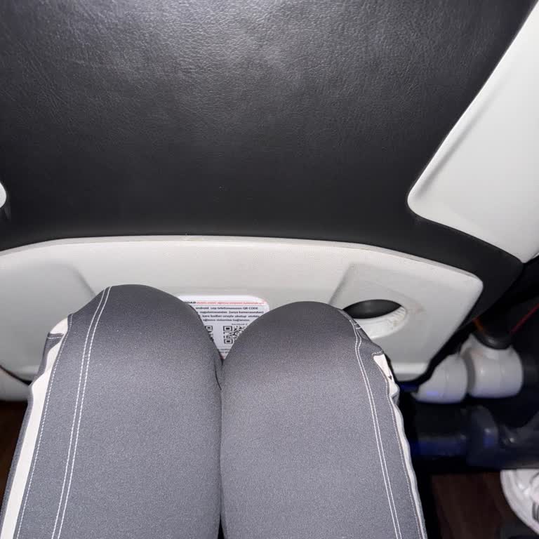 Otobüs Yolculuğunda Rahatsız Edici Davranışlar Ve İlgisiz Personel