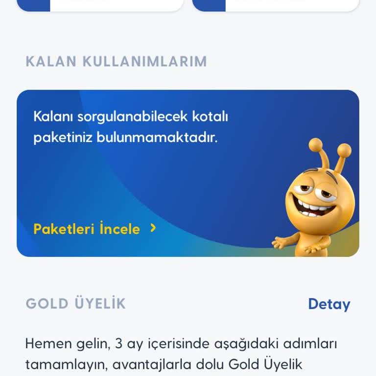 Yüklenen İnternet Paketinin Hala Tanımlanmaması