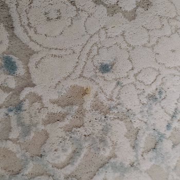 Halı Yıkamada Eksik Temizlik Ve İlgisiz Hizmet