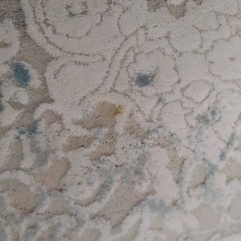 Halı Yıkamada Eksik Temizlik Ve İlgisiz Hizmet