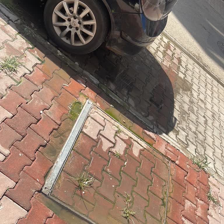 Mersin Yenişehir Belediyesi Rögar Sorununa Çözüm Bekliyoruz