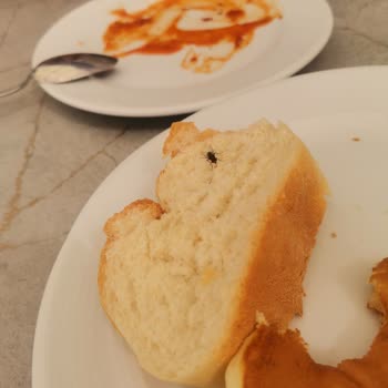 Garden Of Sun Otel Temizlik Ve Hizmet Sorunları Tatilimizi Olumsuz Etkiledi