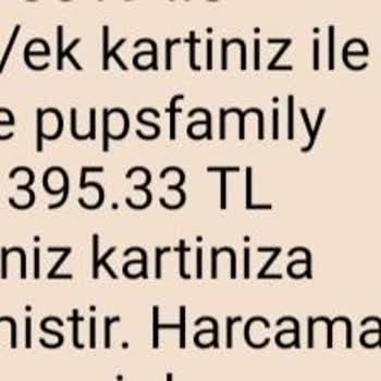 Pupsfamily Ve Partvibestore Şikayeti