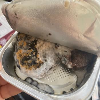 Son Kullanım Tarihi Geçmemiş Kuru Patlıcan Dolmasında Küf Şoku