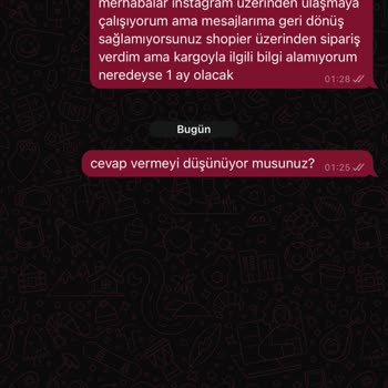 Shopier'den Aldığım Maket Araba Ne Geldi Ne Ses Var!